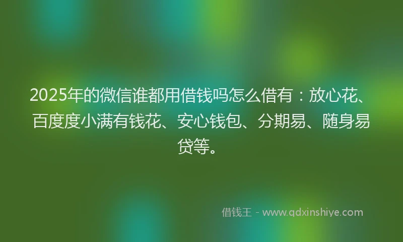 2025年的微信谁都用借钱吗怎么借有：放心花、百度度小满有钱花、安心钱包、分期易、随身易贷等。