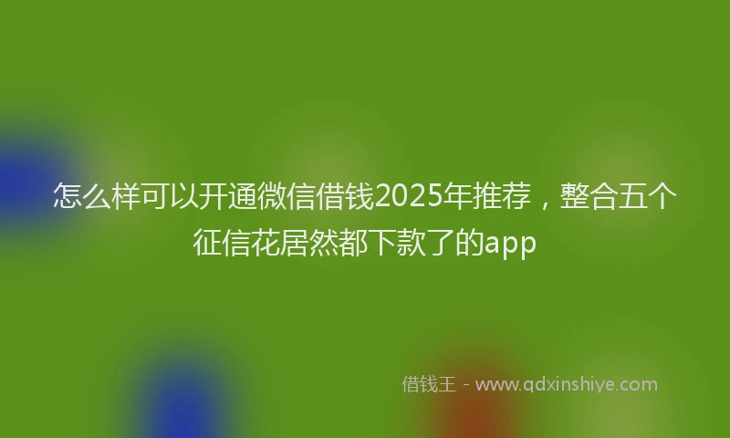 怎么样可以开通微信借钱2025年推荐，整合五个征信花居然都下款了的app