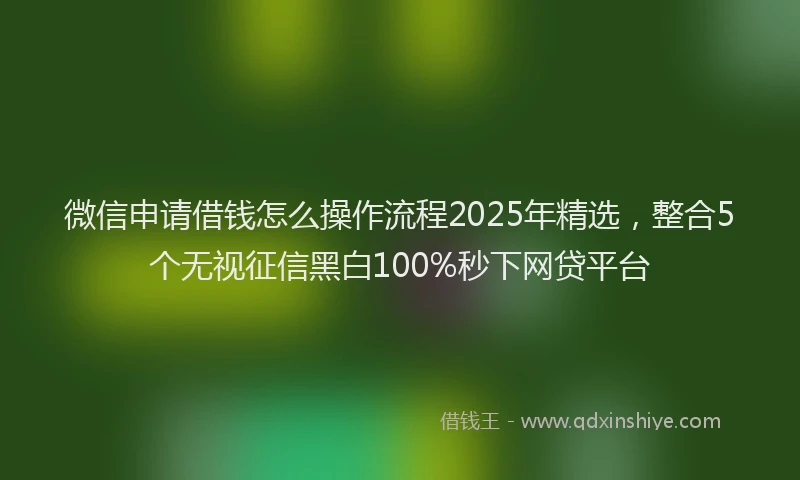 微信申请借钱怎么操作流程2025年精选，整合5个无视征信黑白100%秒下网贷平台
