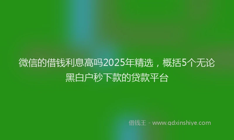 微信的借钱利息高吗2025年精选，概括5个无论黑白户秒下款的贷款平台