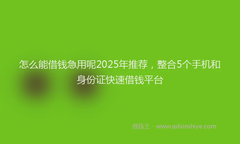 怎么能借钱急用呢2025年推荐，整合5个手机和身份证快速借钱平台