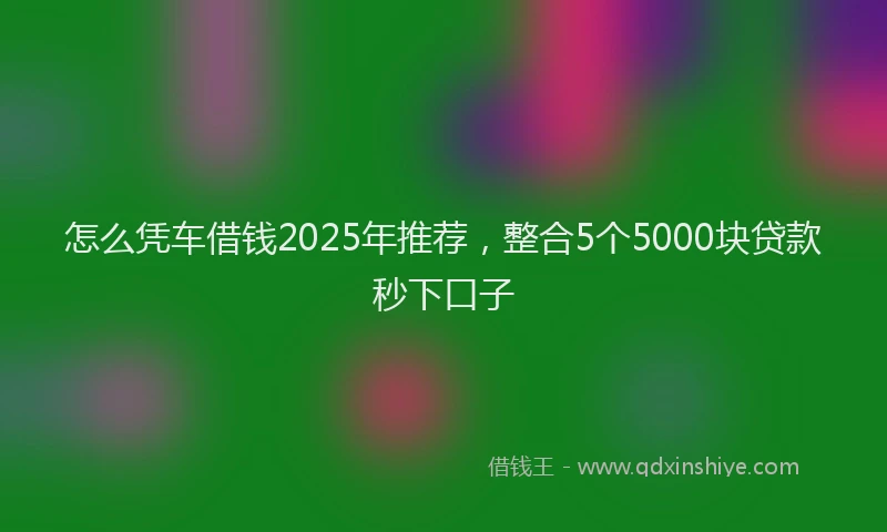 怎么凭车借钱2025年推荐，整合5个5000块贷款秒下口子