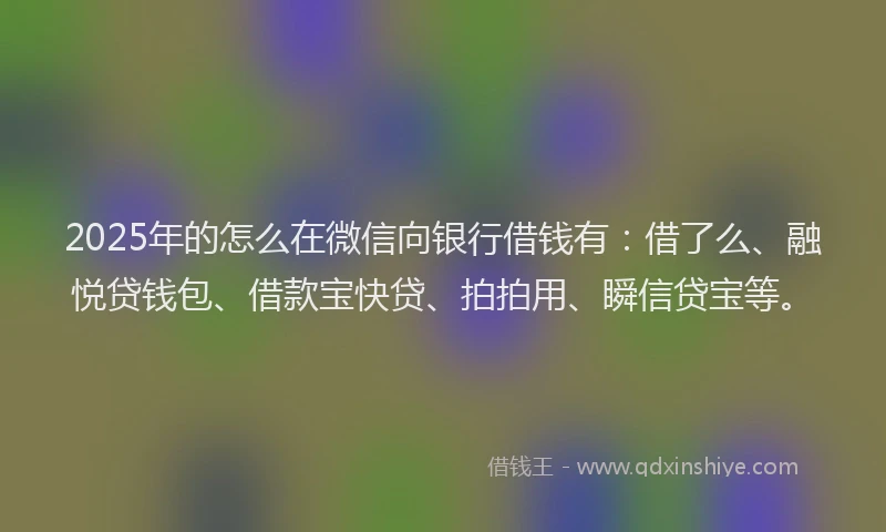2025年的怎么在微信向银行借钱有：借了么、融悦贷钱包、借款宝快贷、拍拍用、瞬信贷宝等。