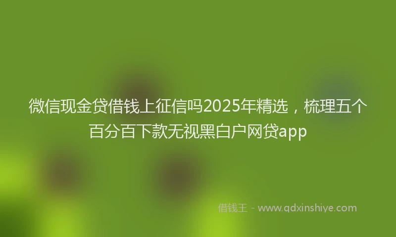 微信现金贷借钱上征信吗2025年精选，梳理五个百分百下款无视黑白户网贷app