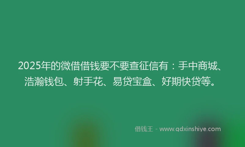 2025年的微借借钱要不要查征信有：手中商城、浩瀚钱包、射手花、易贷宝盒、好期快贷等。