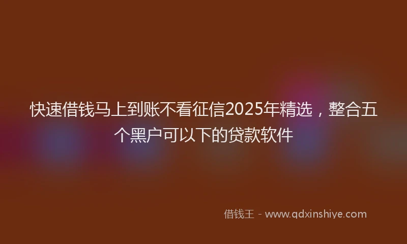 快速借钱马上到账不看征信2025年精选，整合五个黑户可以下的贷款软件