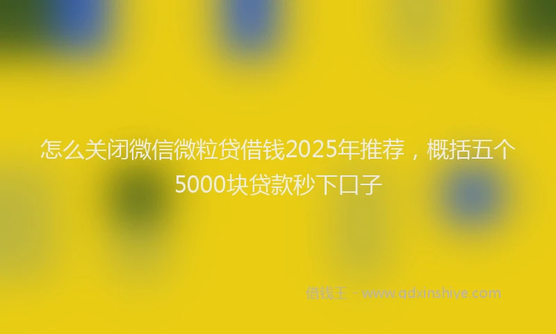 怎么关闭微信微粒贷借钱2025年推荐，概括五个5000块贷款秒下口子
