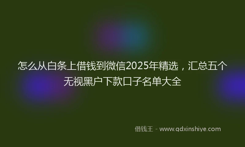 怎么从白条上借钱到微信2025年精选，汇总五个无视黑户下款口子名单大全