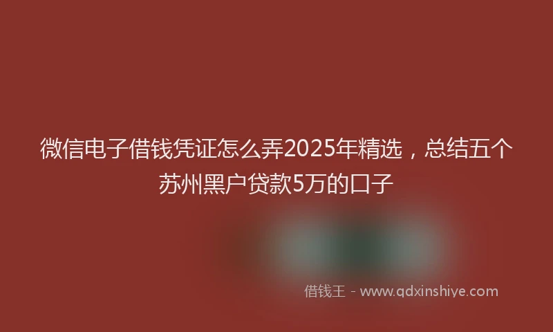 微信电子借钱凭证怎么弄2025年精选，总结五个苏州黑户贷款5万的口子
