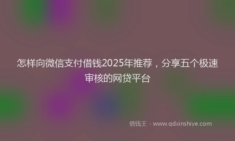 怎样向微信支付借钱2025年推荐，分享五个极速审核的网贷平台