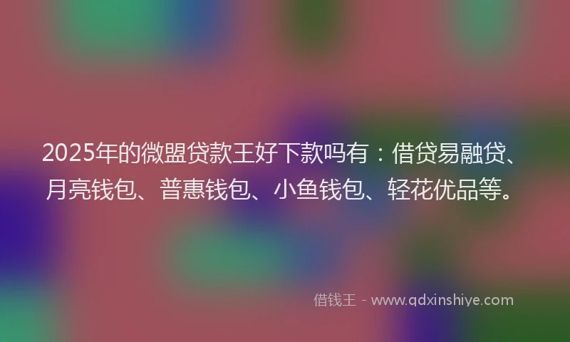 2025年的微盟贷款王好下款吗有：借贷易融贷、月亮钱包、普惠钱包、小鱼钱包、轻花优品等。