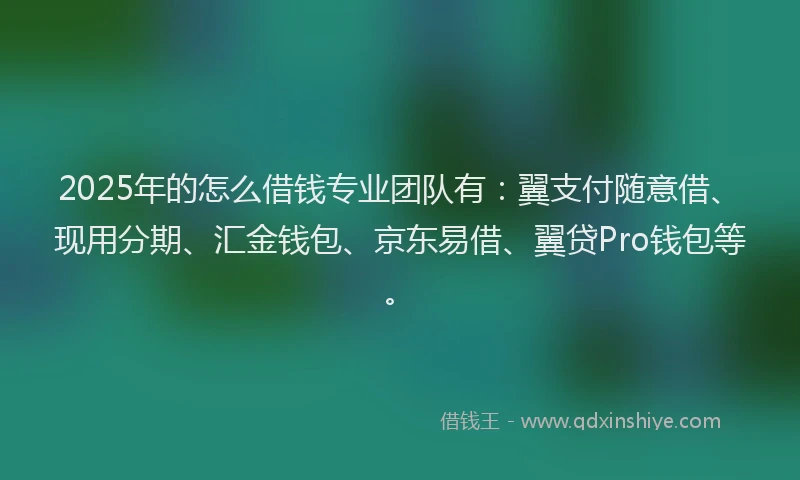 2025年的怎么借钱专业团队有：翼支付随意借、现用分期、汇金钱包、京东易借、翼贷Pro钱包等。