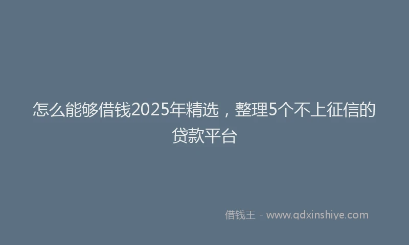 怎么能够借钱2025年精选，整理5个不上征信的贷款平台