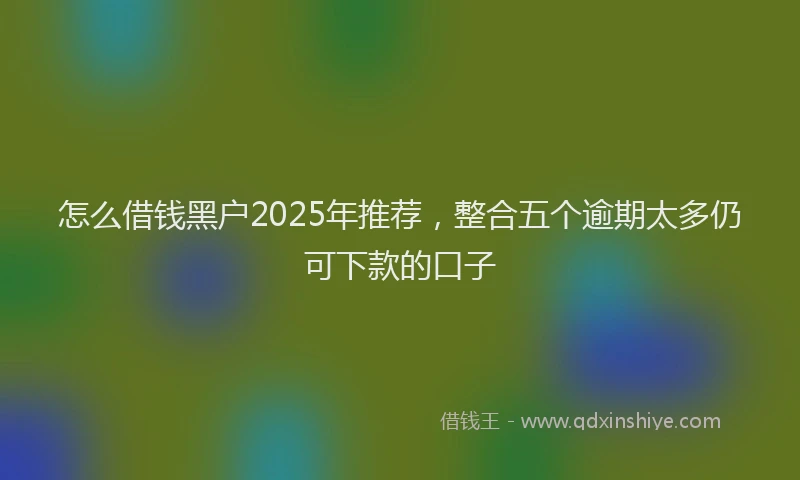 怎么借钱黑户2025年推荐，整合五个逾期太多仍可下款的口子
