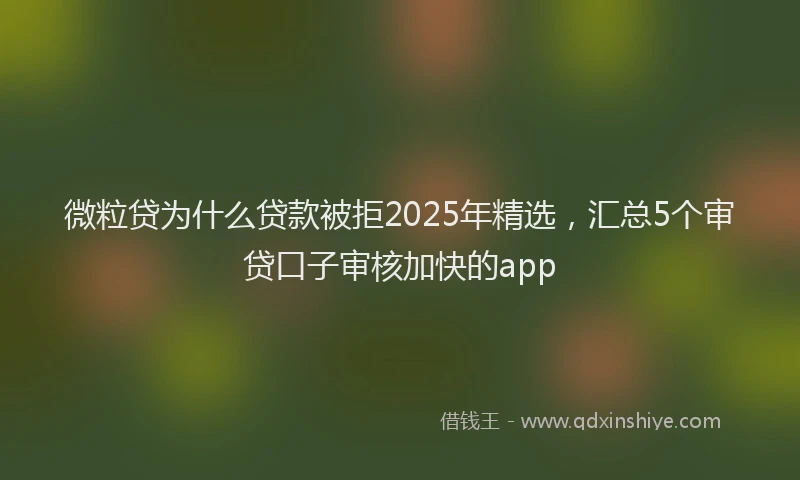 微粒贷为什么贷款被拒2025年精选，汇总5个审贷口子审核加快的app