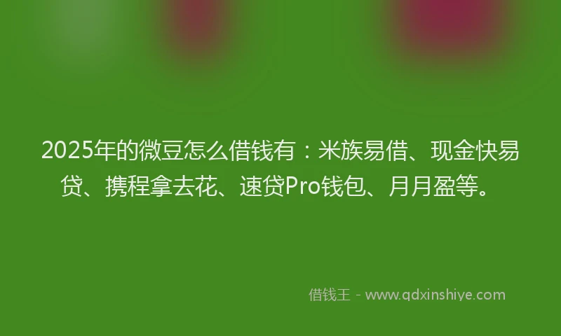 2025年的微豆怎么借钱有：米族易借、现金快易贷、携程拿去花、速贷Pro钱包、月月盈等。