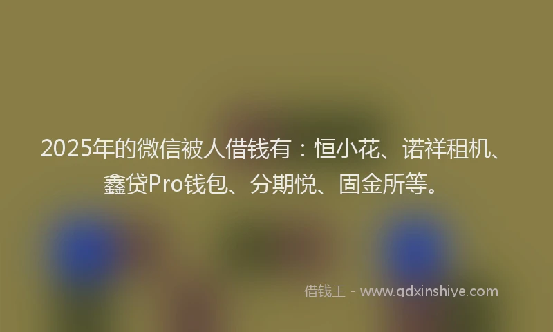 2025年的微信被人借钱有：恒小花、诺祥租机、鑫贷Pro钱包、分期悦、固金所等。