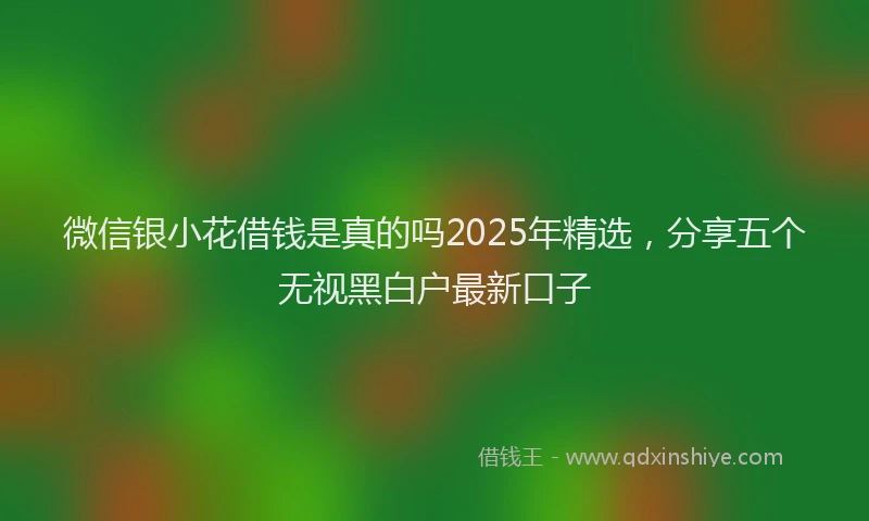微信银小花借钱是真的吗2025年精选，分享五个无视黑白户最新口子