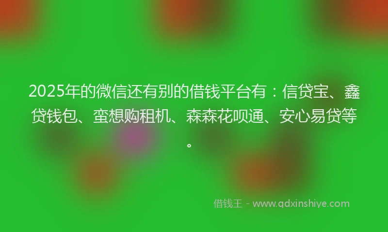 2025年的微信还有别的借钱平台有：信贷宝、鑫贷钱包、蛮想购租机、森森花呗通、安心易贷等。
