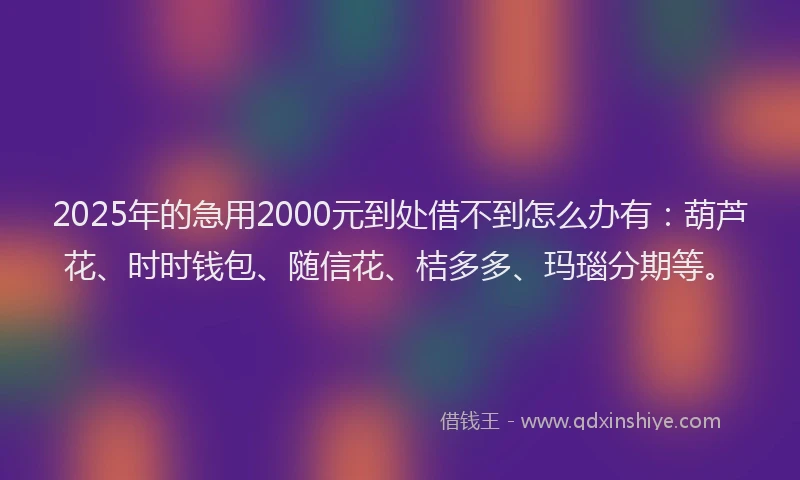 2025年的急用2000元到处借不到怎么办有：葫芦花、时时钱包、随信花、桔多多、玛瑙分期等。