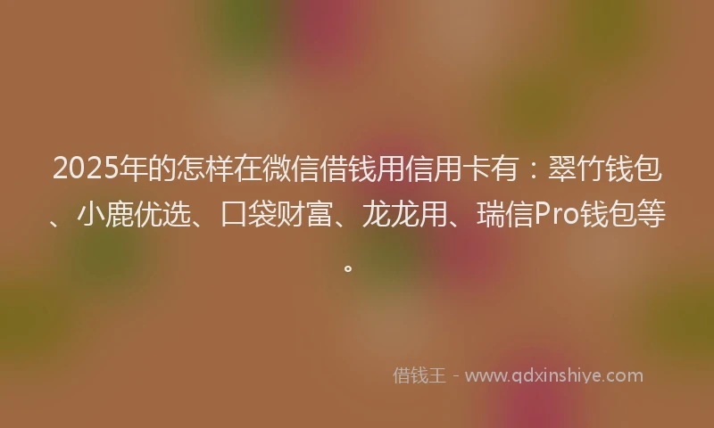 2025年的怎样在微信借钱用信用卡有：翠竹钱包、小鹿优选、口袋财富、龙龙用、瑞信Pro钱包等。