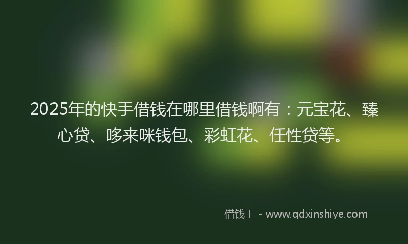 2025年的快手借钱在哪里借钱啊有：元宝花、臻心贷、哆来咪钱包、彩虹花、任性贷等。