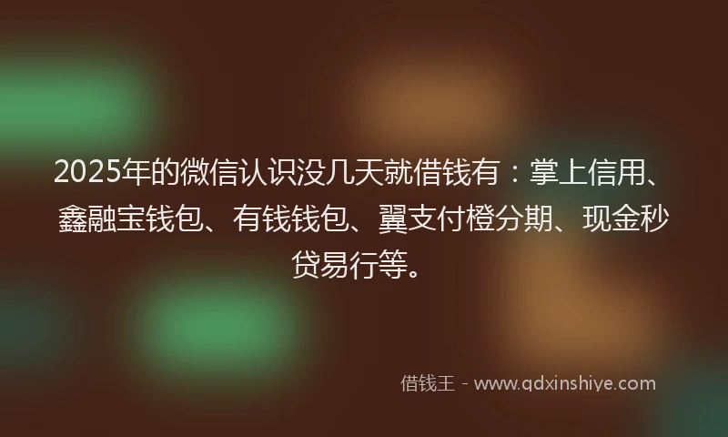 2025年的微信认识没几天就借钱有：掌上信用、鑫融宝钱包、有钱钱包、翼支付橙分期、现金秒贷易行等。