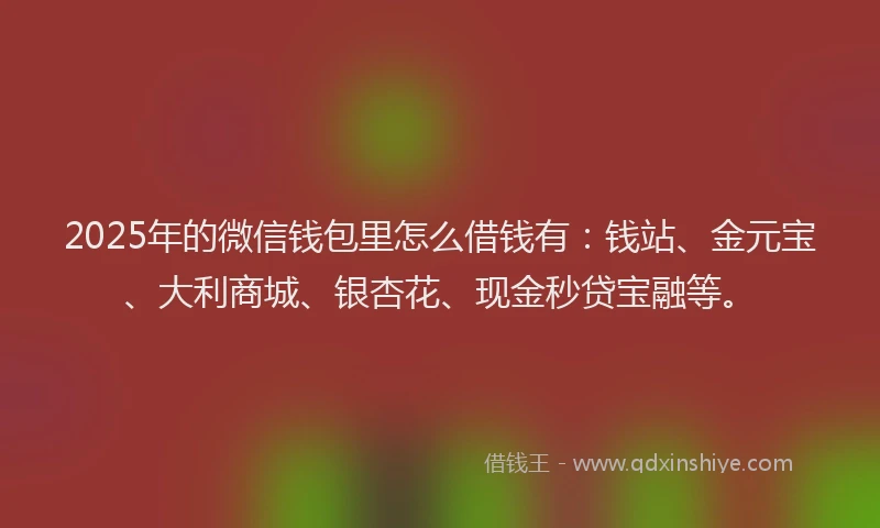 2025年的微信钱包里怎么借钱有：钱站、金元宝、大利商城、银杏花、现金秒贷宝融等。