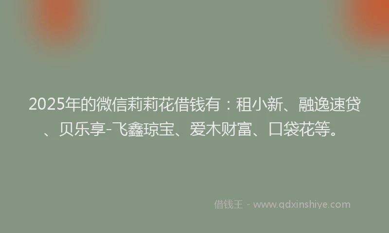 2025年的微信莉莉花借钱有：租小新、融逸速贷、贝乐享-飞鑫琼宝、爱木财富、口袋花等。
