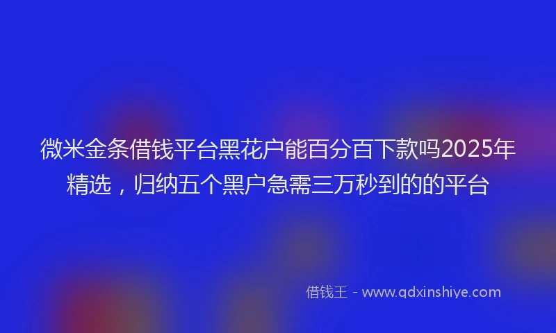 微米金条借钱平台黑花户能百分百下款吗2025年精选，归纳五个黑户急需三万秒到的的平台