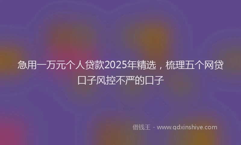 急用一万元个人贷款2025年精选，梳理五个网贷口子风控不严的口子