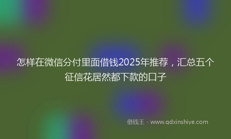 怎样在微信分付里面借钱2025年推荐，汇总五个征信花居然都下款的口子