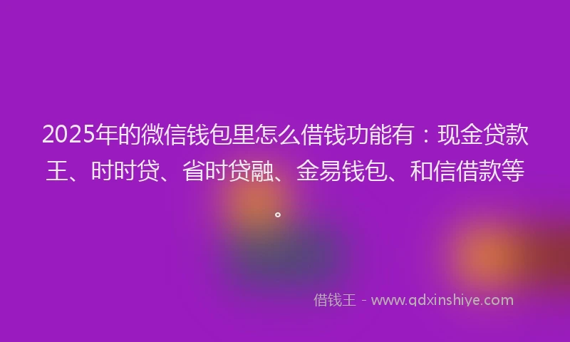 2025年的微信钱包里怎么借钱功能有：现金贷款王、时时贷、省时贷融、金易钱包、和信借款等。