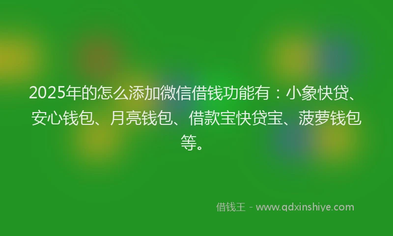 2025年的怎么添加微信借钱功能有：小象快贷、安心钱包、月亮钱包、借款宝快贷宝、菠萝钱包等。