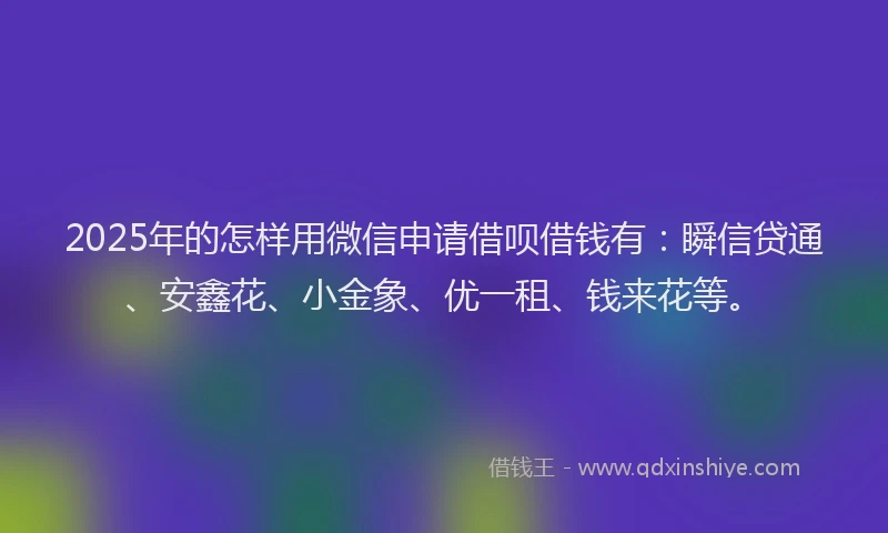 2025年的怎样用微信申请借呗借钱有：瞬信贷通、安鑫花、小金象、优一租、钱来花等。