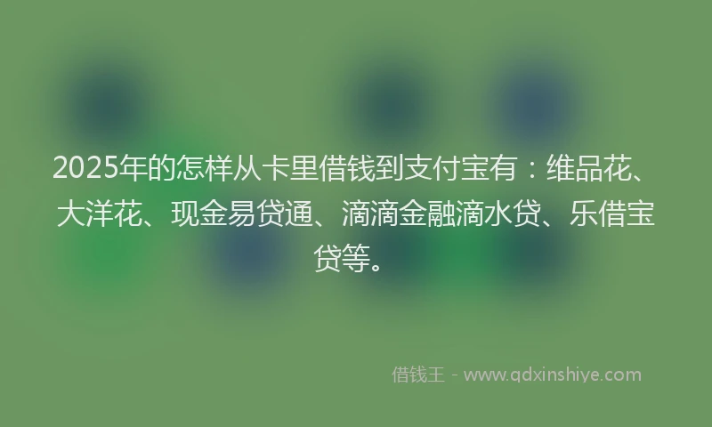 2025年的怎样从卡里借钱到支付宝有：维品花、大洋花、现金易贷通、滴滴金融滴水贷、乐借宝贷等。