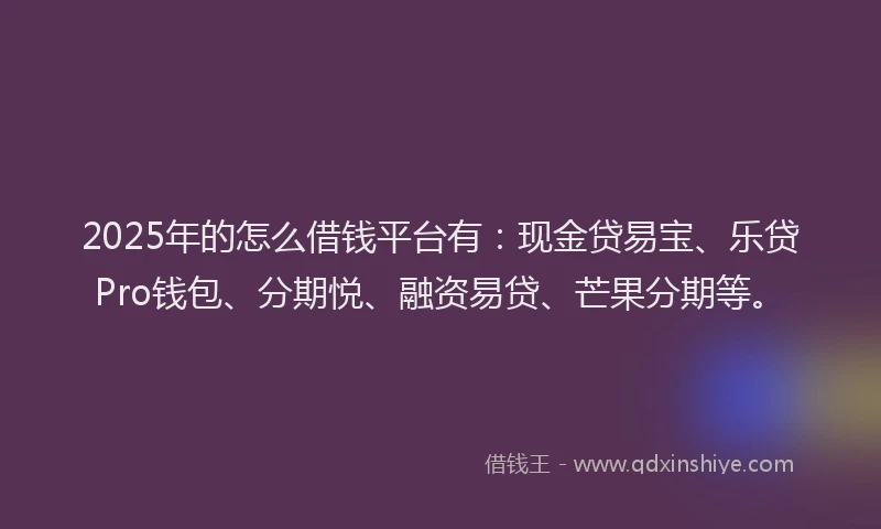2025年的怎么借钱平台有：现金贷易宝、乐贷Pro钱包、分期悦、融资易贷、芒果分期等。