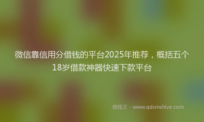 微信靠信用分借钱的平台2025年推荐，概括五个18岁借款神器快速下款平台