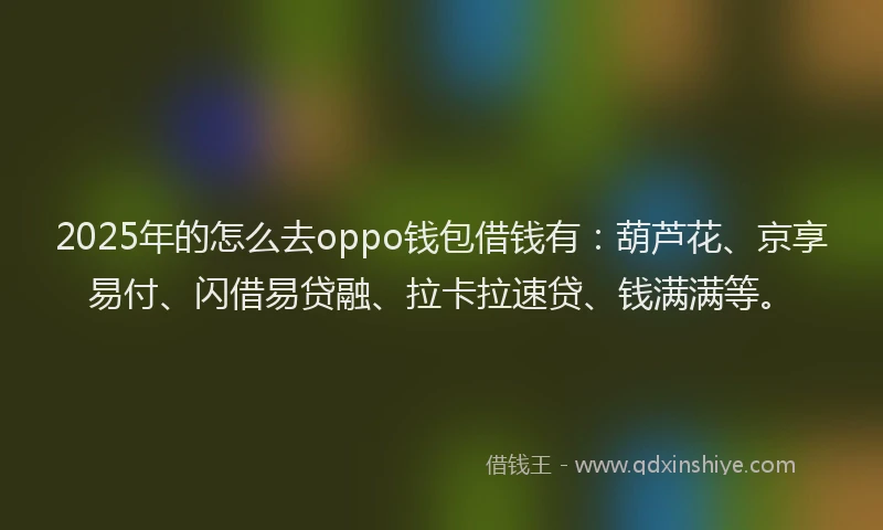 2025年的怎么去oppo钱包借钱有：葫芦花、京享易付、闪借易贷融、拉卡拉速贷、钱满满等。
