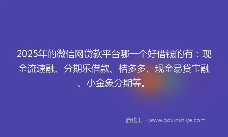 2025年的微信网贷款平台哪一个好借钱的有：现金流速融、分期乐借款、桔多多、现金易贷宝融、小金象分期等。