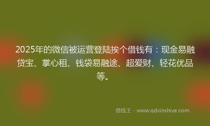 2025年的微信被运营登陆挨个借钱有：现金易融贷宝、掌心租、钱袋易融途、超爱财、轻花优品等。