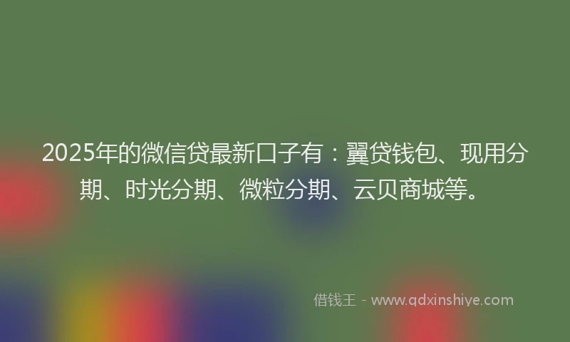 2025年的微信贷最新口子有：翼贷钱包、现用分期、时光分期、微粒分期、云贝商城等。