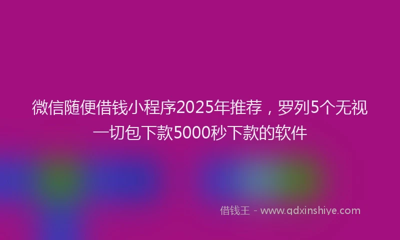 微信随便借钱小程序2025年推荐，罗列5个无视一切包下款5000秒下款的软件