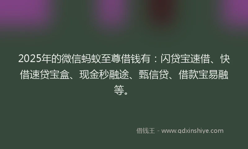 2025年的微信蚂蚁至尊借钱有：闪贷宝速借、快借速贷宝盒、现金秒融途、甄信贷、借款宝易融等。
