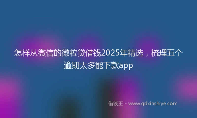 怎样从微信的微粒贷借钱2025年精选，梳理五个逾期太多能下款app