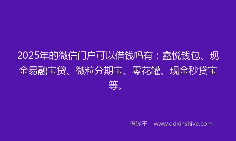 2025年的微信门户可以借钱吗有：鑫悦钱包、现金易融宝贷、微粒分期宝、零花罐、现金秒贷宝等。