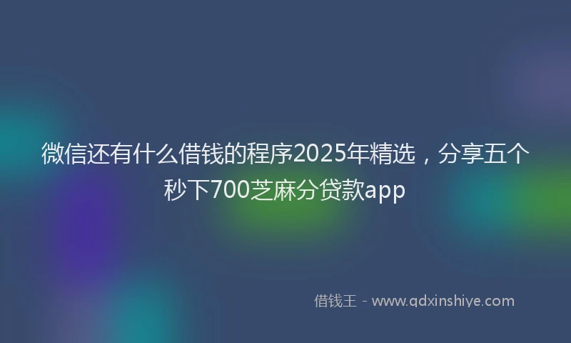微信还有什么借钱的程序2025年精选，分享五个秒下700芝麻分贷款app