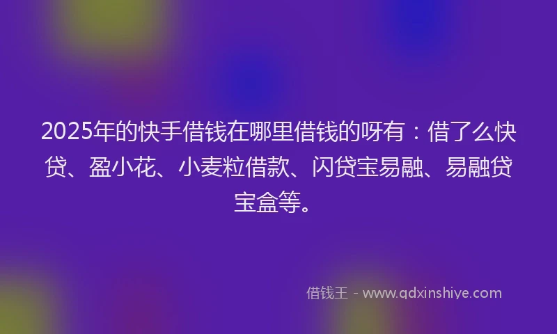 2025年的快手借钱在哪里借钱的呀有：借了么快贷、盈小花、小麦粒借款、闪贷宝易融、易融贷宝盒等。