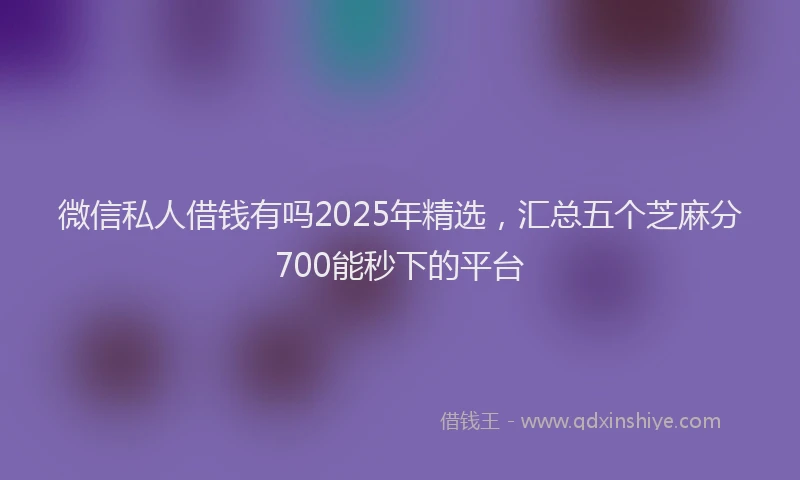 微信私人借钱有吗2025年精选，汇总五个芝麻分700能秒下的平台