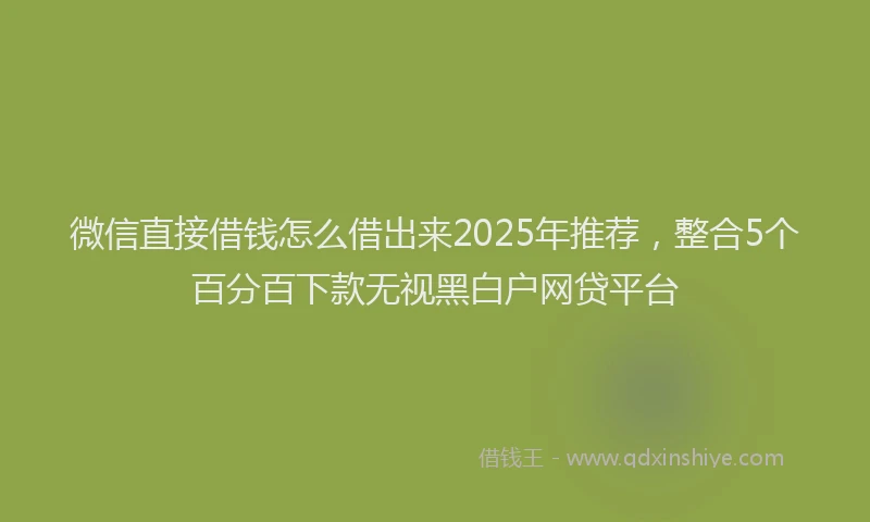 微信直接借钱怎么借出来2025年推荐，整合5个百分百下款无视黑白户网贷平台